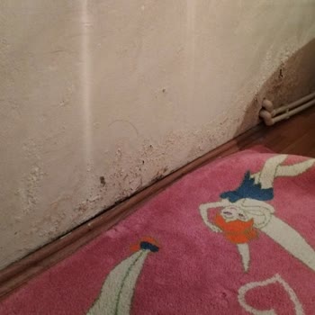 Aksigorta Eksper Ve İletişim Sorunları Nedeniyle Evdeki Hasarım Giderilemiyor