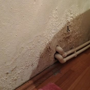 Aksigorta Eksper Ve İletişim Sorunları Nedeniyle Evdeki Hasarım Giderilemiyor