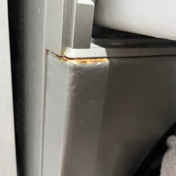 Bosch Marka Makinelerde Küflenme Ve İlgisizlik Mağduriyeti