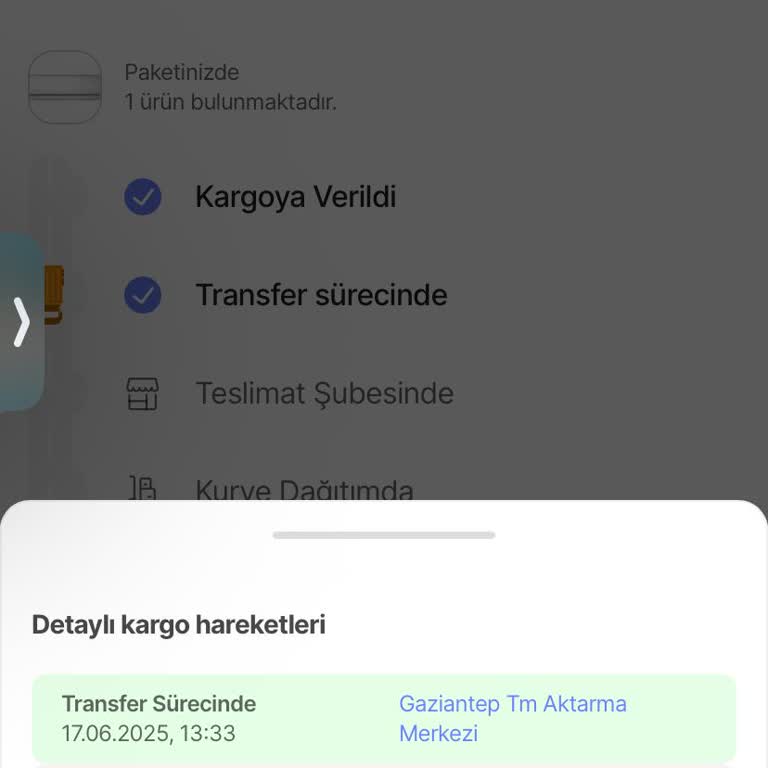 Kargom Kayıp, Bilgi Yok, Çözüm Yok!