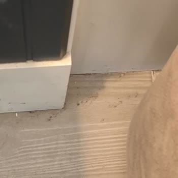 Rezervasyon Sonrası Kötü Otel Deneyimi Ve Tatilin Ziyan Edilmesi