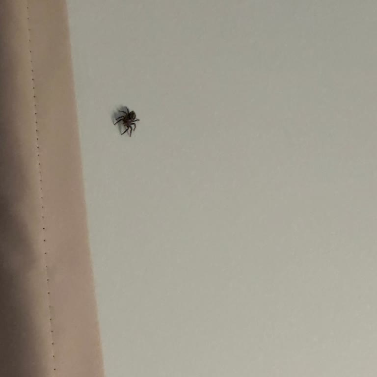 Horus Paradise Luxury Resort Hotel Deneyimimde Karşılaştığım Olumsuzluklar Ve Memnuniyetsizlik