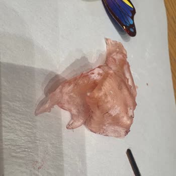 Doğan Yatağanlı Unlu Mamulleri Pastadan Çıkan Yabancı Cisimle Hayal Kırıklığı