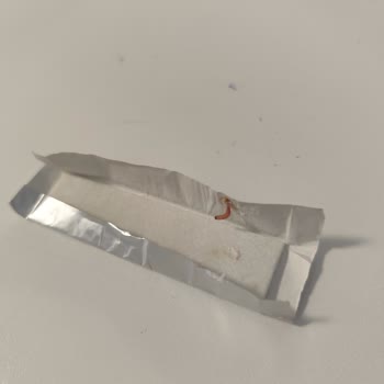 Aldığım Sakızın İçinden Kurt Çıktı!