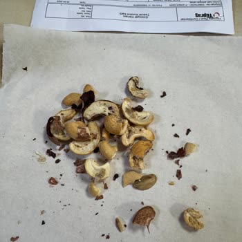 Kurtlanmış Kaju Satışı Ve İlgisiz Müşteri Hizmeti