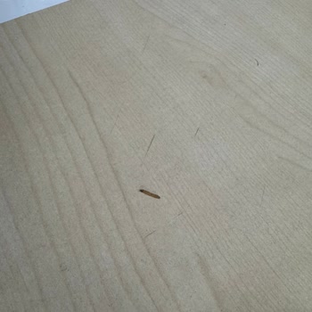 Kurtlanmış Kaju Satışı Ve İlgisiz Müşteri Hizmeti