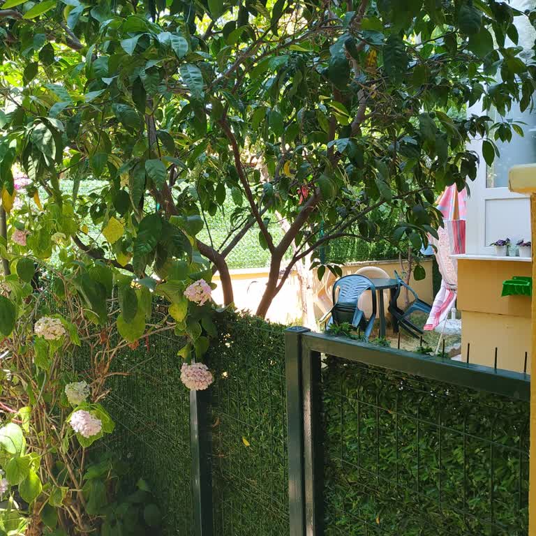 Ev Sahibi Bahçeyi Kapatıp Geçişi Engelliyor