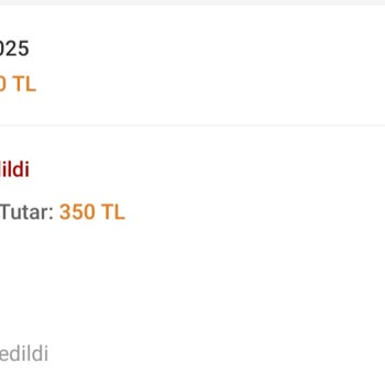 Mezuniyet İçin Aldığım Ayakkabı Zamanında Teslim Edilmedi, Satıcıdan Destek Alamadım