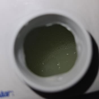 Laktozsuz Süt İçerisinde Yabancı Maddelerle Karşılaşılması