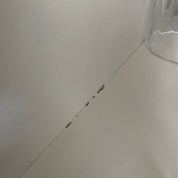 Mobilyalar Eksik Ve Hasarlı Teslim Edildi, Kimse İlgilenmiyor