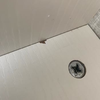 Mobilyalar Eksik Ve Hasarlı Teslim Edildi, Kimse İlgilenmiyor