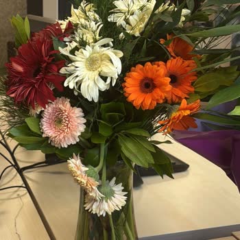 Solgun Çiçek Ve Eksik Not: Doğum Günü Sürprizi Hüsrana Döndü