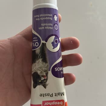 24 Bin TL’lik Kedi Tuvaleti Yerine Malt Gönderildi, Mağdur Oldum