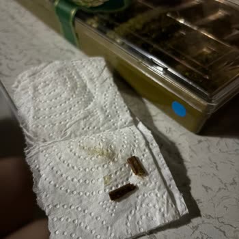 Lokumun İçinden Tahta Parçası Çıkması Ve Yetersiz Çözüm