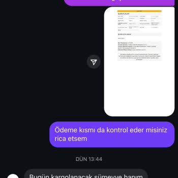 Siparişim Günlerdir Kargoya Verilmiyor Mesajlara Cevap Yok