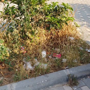 Adana Büyükşehir Belediyesi Sarıçam Market Önü Ve Park Alanı Sürekli Kirli!