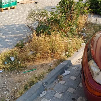 Adana Büyükşehir Belediyesi Sarıçam Market Önü Ve Park Alanı Sürekli Kirli!
