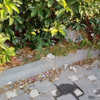 Adana Büyükşehir Belediyesi Sarıçam Market Önü Ve Park Alanı Sürekli Kirli!