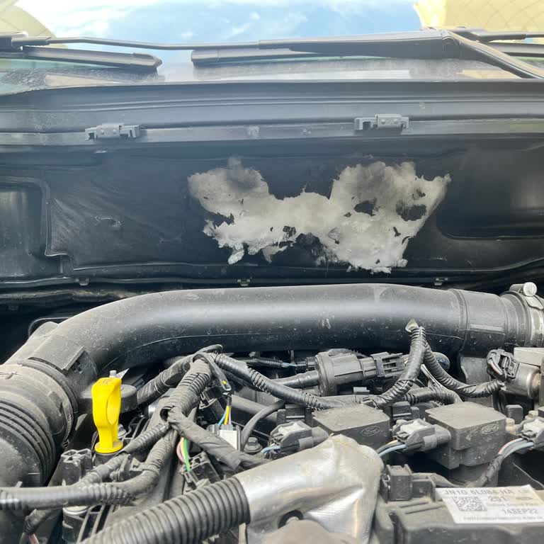 Kronik İzolasyon Sorunu Garanti Kapsamına Alınmıyor, Çözüm Bekliyorum