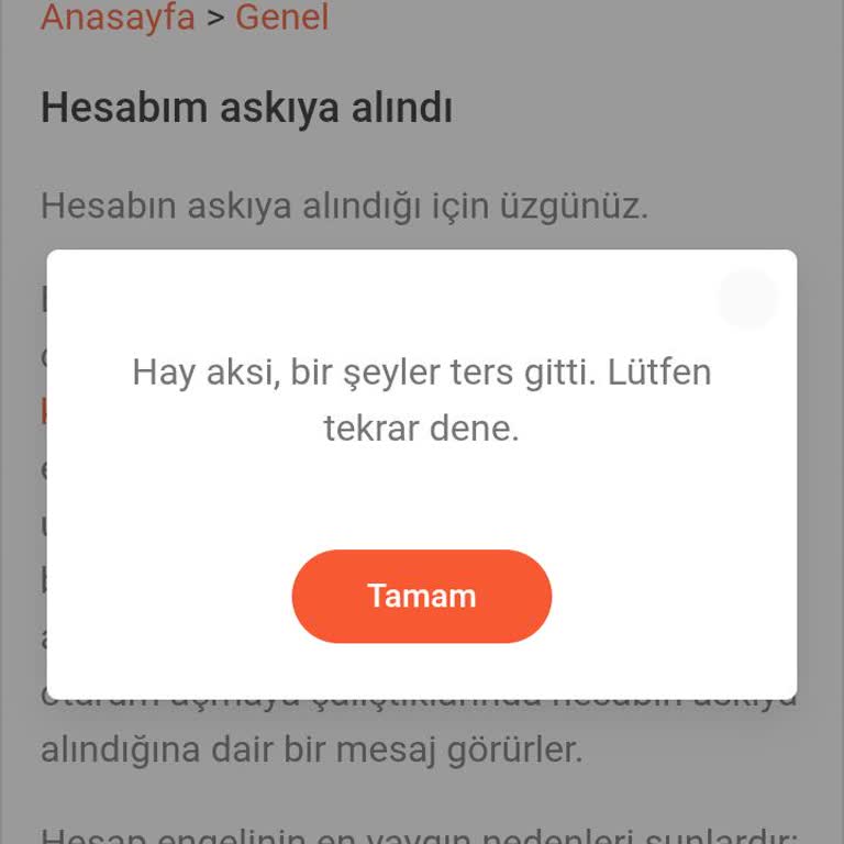 Hornet Hesabıma Erişemiyorum