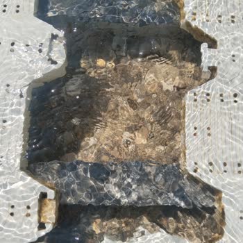 Engelsiz Yolun Bakımsızlığı Engelliler İçin Tehlike Oluşturuyor