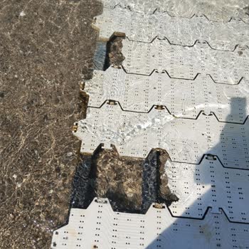 Engelsiz Yolun Bakımsızlığı Engelliler İçin Tehlike Oluşturuyor