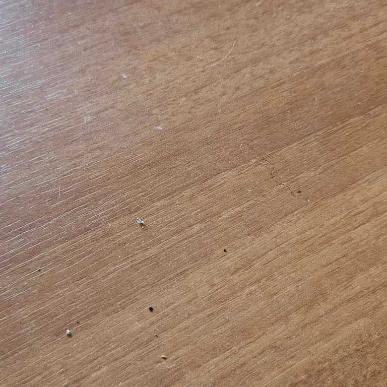 Superbox Kurulumunda Gecikme Ve İletişimsizlik