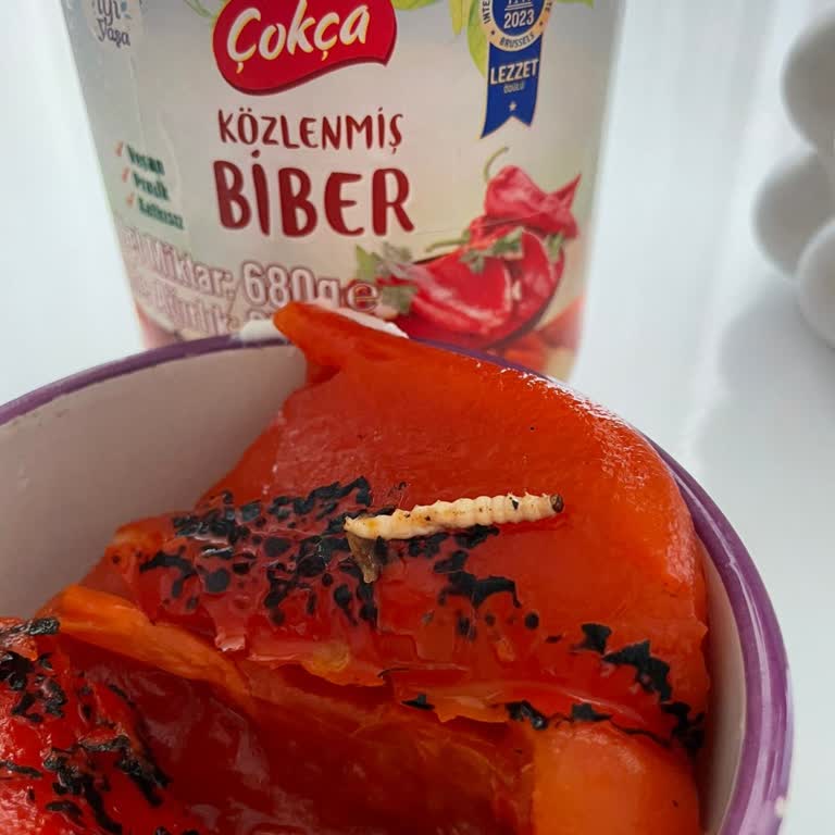 Közlenmiş Biberin İçinden Çıkan Tırtıl Mide Ağrısı Yaşattı