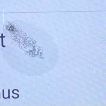 Unerlaubte Abbuchung durch Opodo Prime Annual