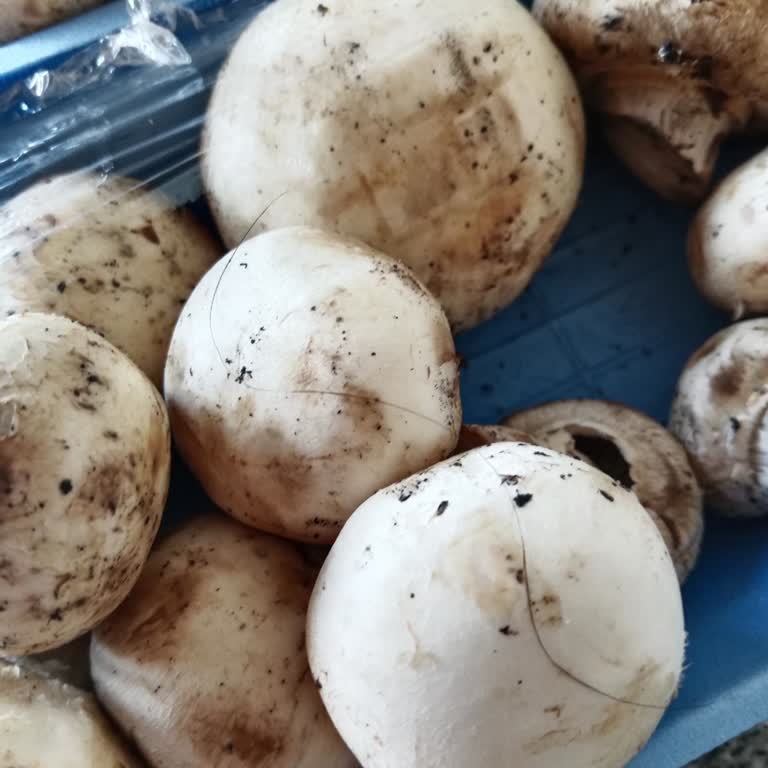 Aldığım Mantarın İçinden Kıl Çıktı, Yiyemedik Ve Çöpe Atmak Zorunda Kaldık