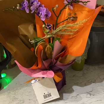 Seçtiğim Ürün Yerine Alakasız Ürün Gönderdiler Pişmanım