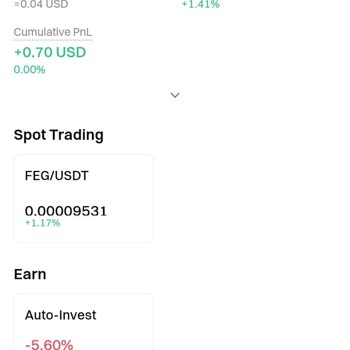 My Gate.io FEG Tokens Vanished I Lost My Investment