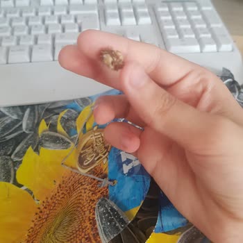 Aldığım Çekirdekten Çıkan Yabancı Madde Şok Etti