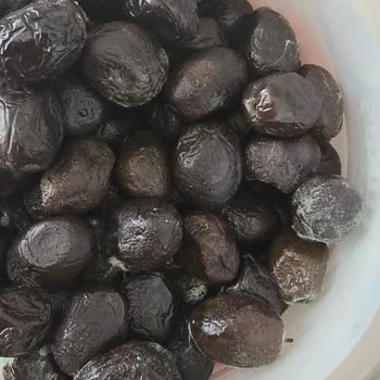 Tukaş Zeytin Aldım Kısa Sürede Küflendi Çocuklarım İçin Endişeliyim