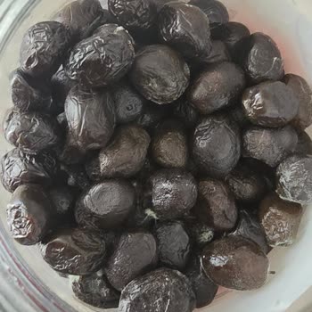 Tukaş Zeytin Aldım Kısa Sürede Küflendi Çocuklarım İçin Endişeliyim