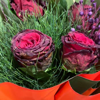 Siparişim Hem Gecikti Hem De Yanlış Ürün Gönderildi