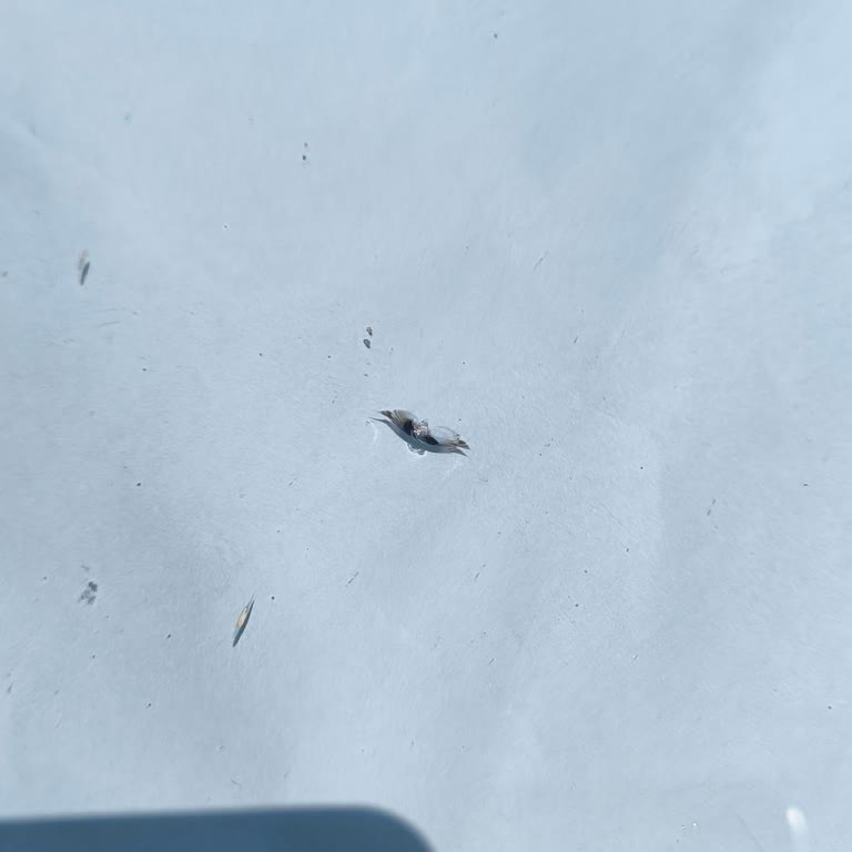 Mini Onarım Hizmeti Kapsamında Cam Hasarı İçin Poliçe Haklarımın İhlal Edilmesi Ve Mağduriyet