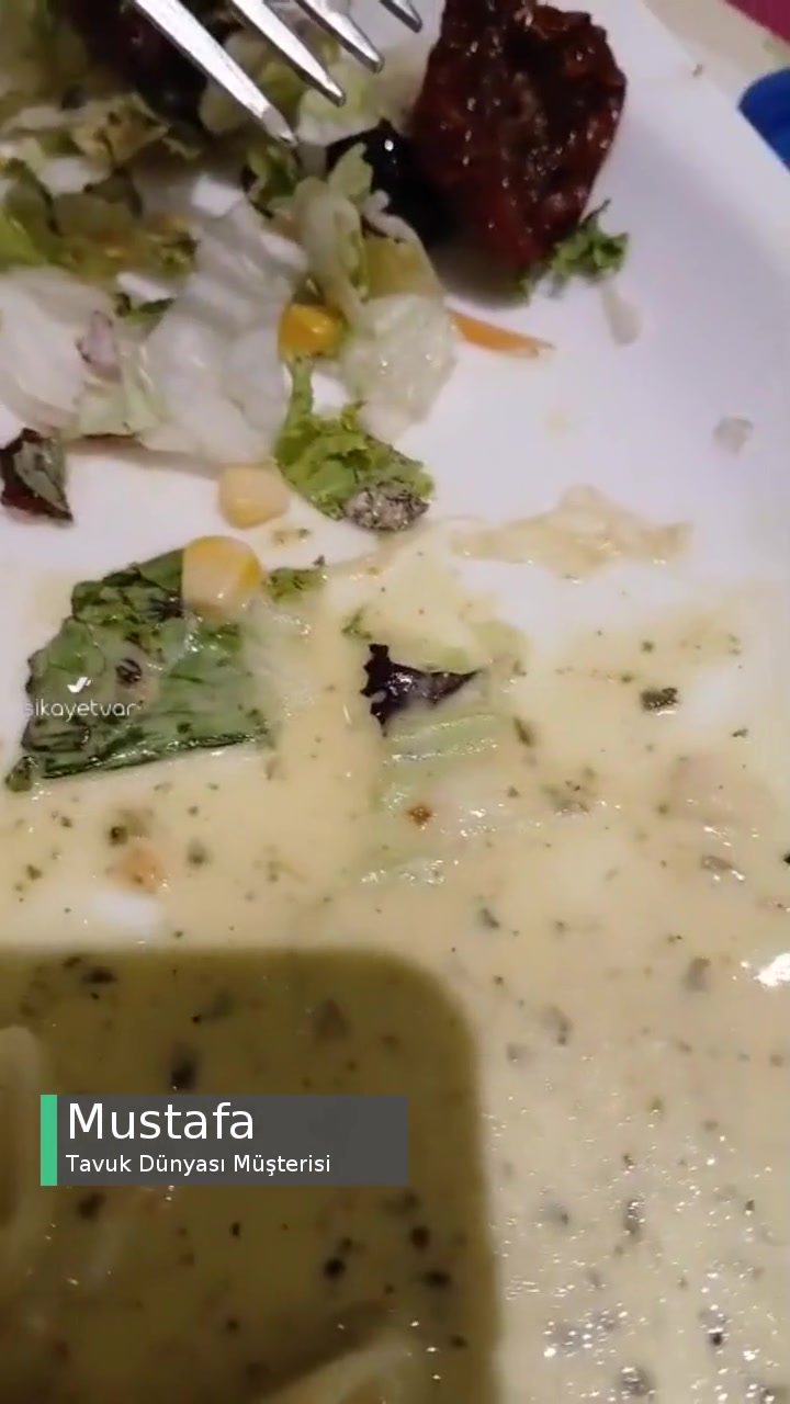 Tavuk Dünyası Yeni Menüsü (Böcekli Menü) videonun kapak resmi