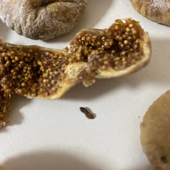 Migros'tan Aldığım Kuru İncirden Kurt Çıktı, Sağlığımız Tehlikede!