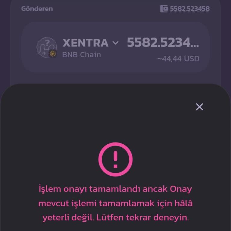 Pancakeswap Ön Satış Coinini Satamıyorum, Sürekli Hata Alıyorum