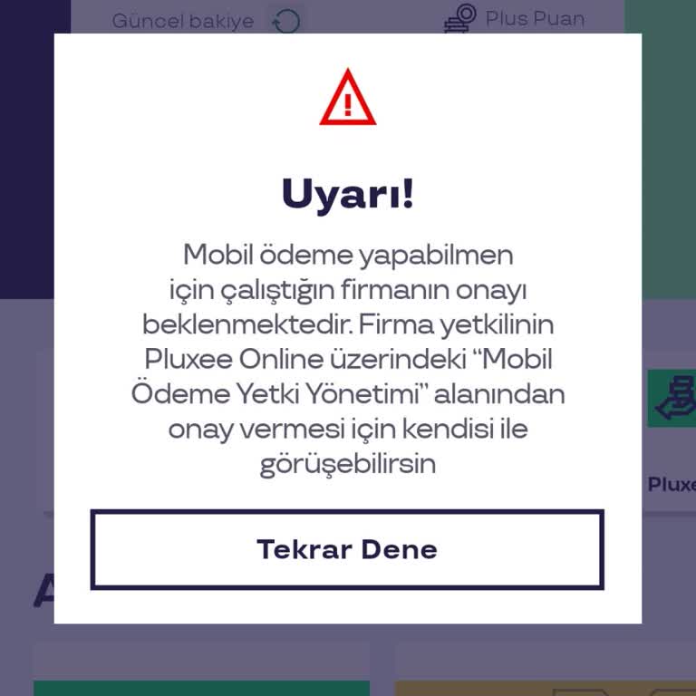 Sodexo Kartımda Bakiye Var Ama Kullanıma Açılmıyor