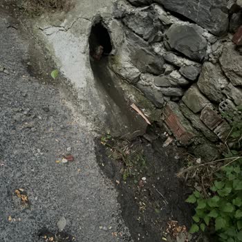 Gider Bağlantı Sorunu ve Yaşam Alanında Oluşan Olumsuzluk