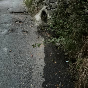 Gider Bağlantı Sorunu ve Yaşam Alanında Oluşan Olumsuzluk