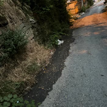 Gider Bağlantı Sorunu ve Yaşam Alanında Oluşan Olumsuzluk