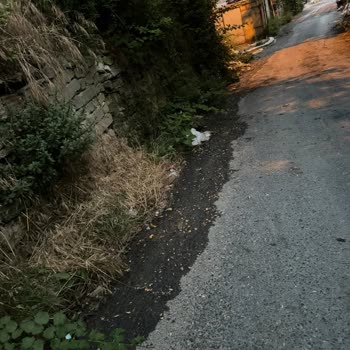 Gider Bağlantı Sorunu ve Yaşam Alanında Oluşan Olumsuzluk