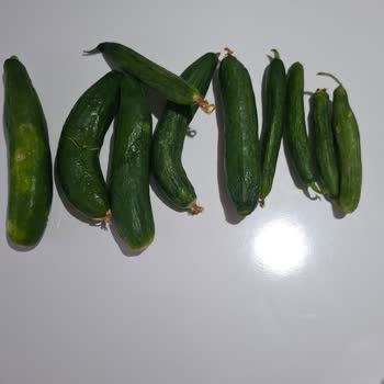 Migros Hemen'den Gönderilen Bozulmuş Sebzeler Ve Yetersiz Destek