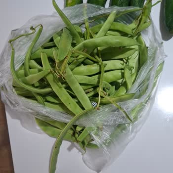 Migros Hemen'den Gönderilen Bozulmuş Sebzeler Ve Yetersiz Destek