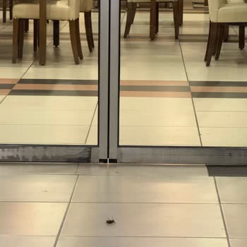 Gemlik Özdilek'te Kötü Yemek Deneyimi Ve İlgisizlik