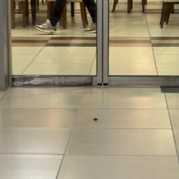 Gemlik Özdilek'te Kötü Yemek Deneyimi Ve İlgisizlik