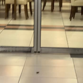 Gemlik Özdilek'te Kötü Yemek Deneyimi Ve İlgisizlik